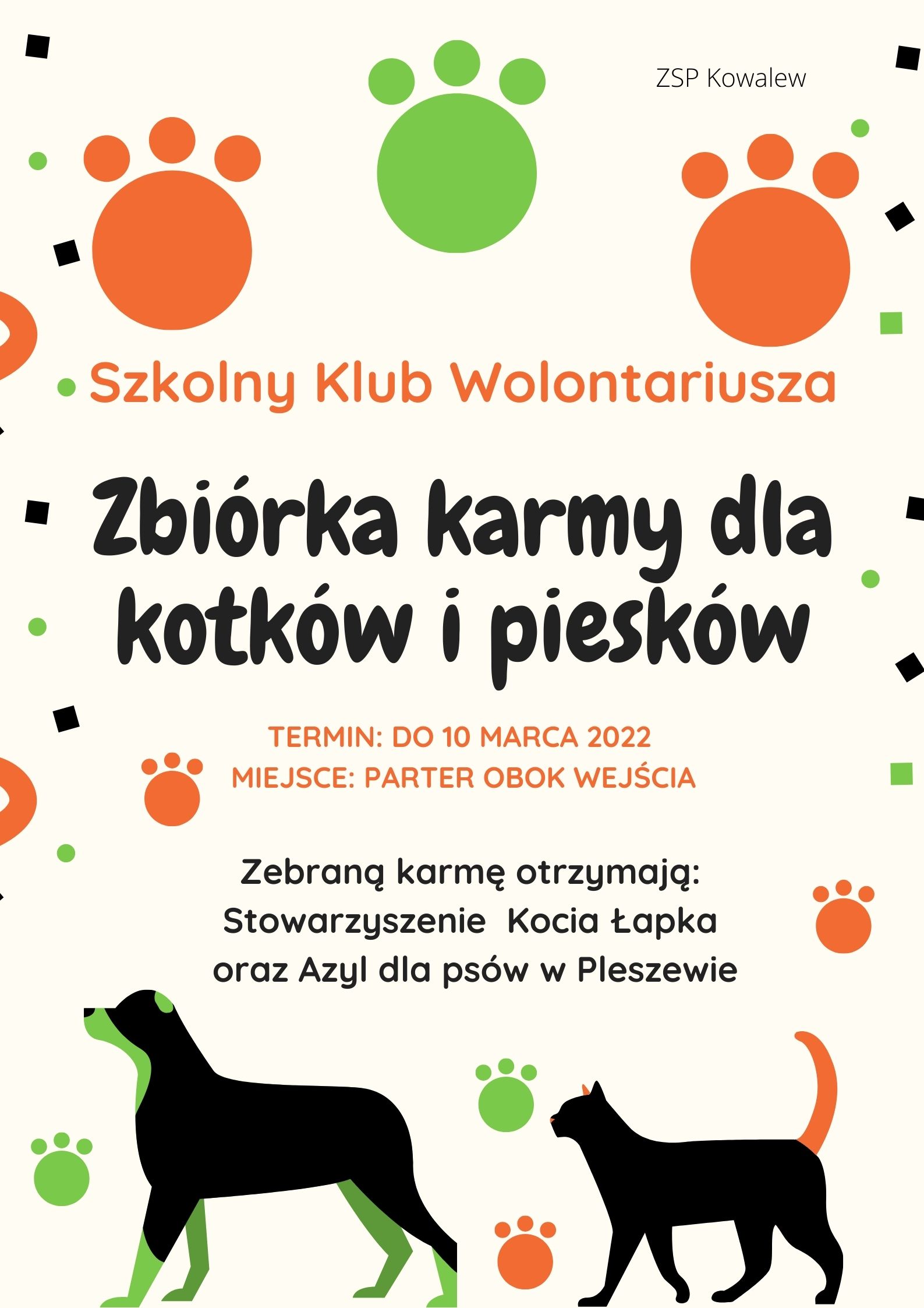 Zbiórka karmy dla kotków i piesków 1