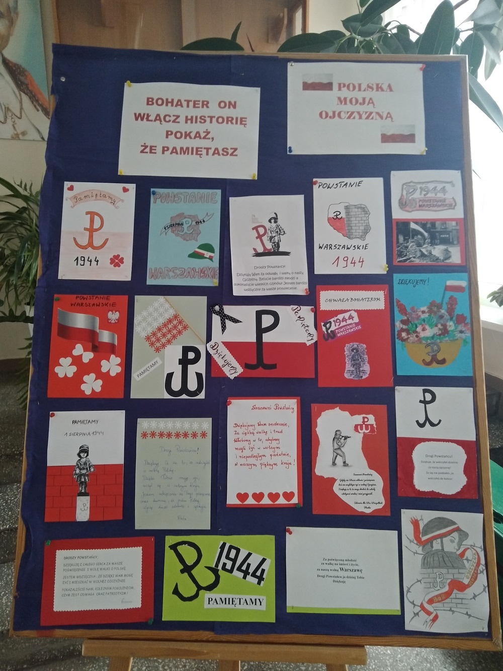 IMG 20221114 095552 2