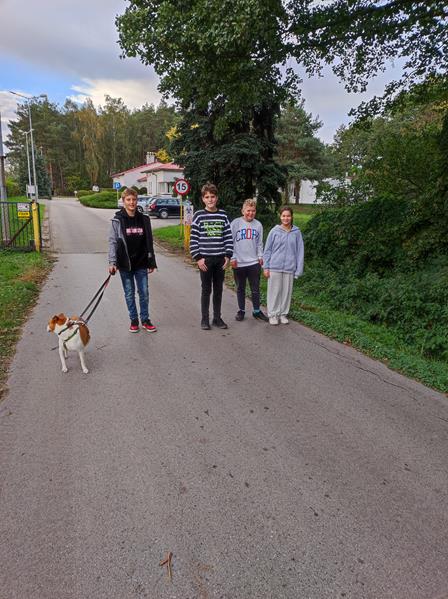 310402721 652646013140163 7954782525426501760 n Copy