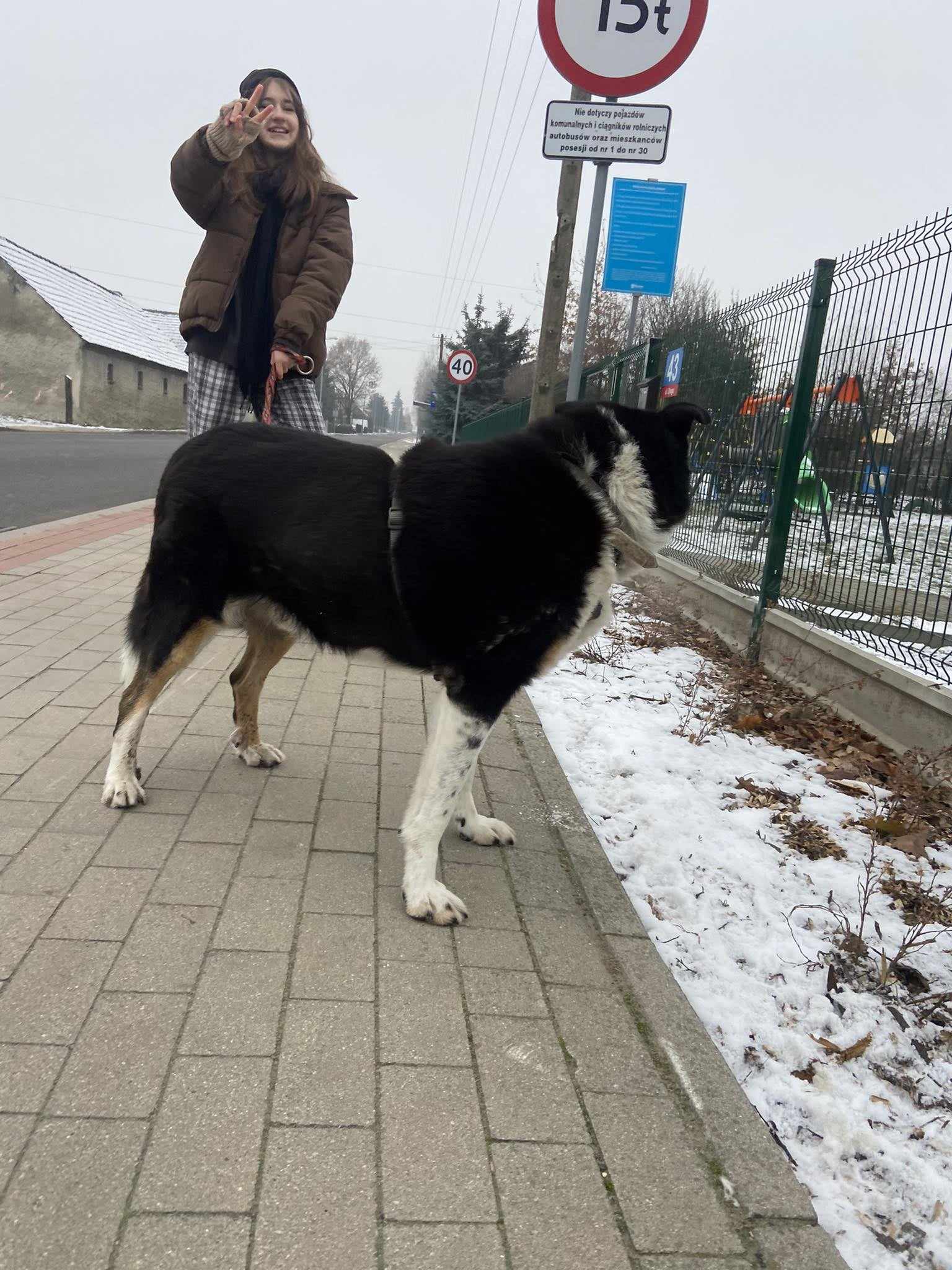 398313234 1414141619482226 2513540831161416838 n