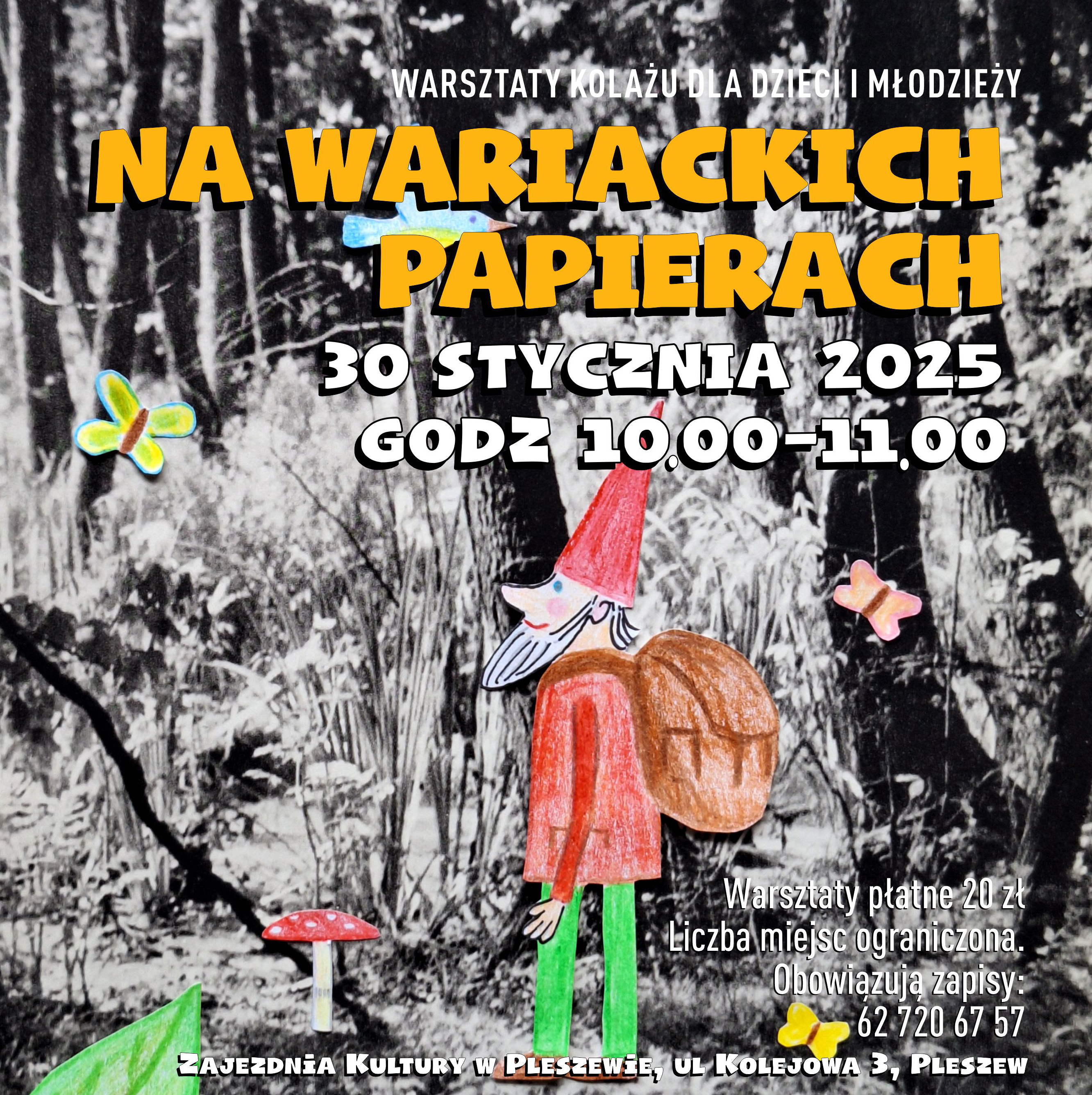 na wariackich papierach 30 stycznia kwadrat