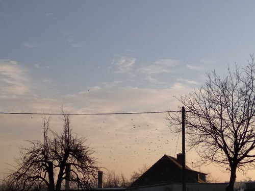 SAVE 20200127 175643