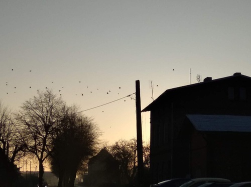 SAVE 20200127 175655